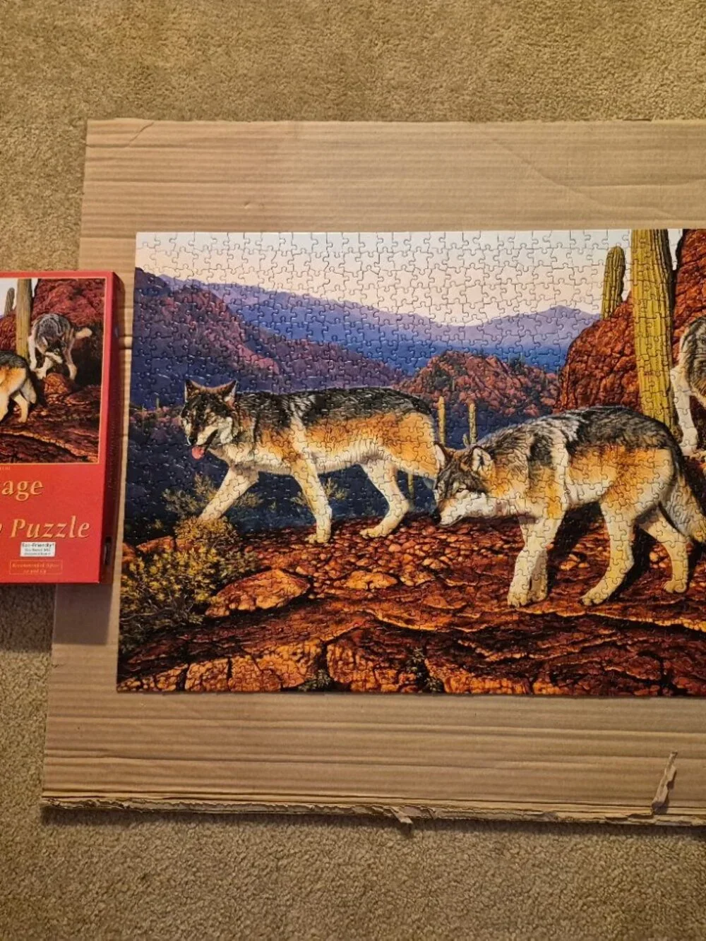 1000 Piece Jigsaw Puzzle 